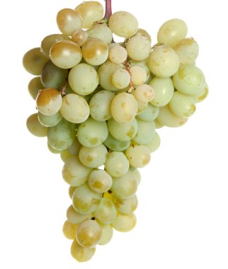 Grapes clipart