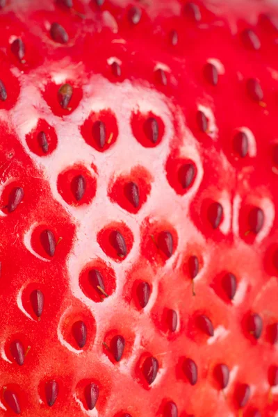 매크로 딸기 — 스톡 사진