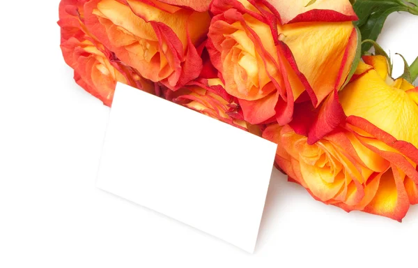 Růže izolované na bílém — Stock fotografie