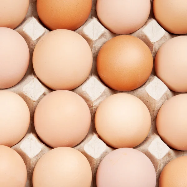 stock image Eggs