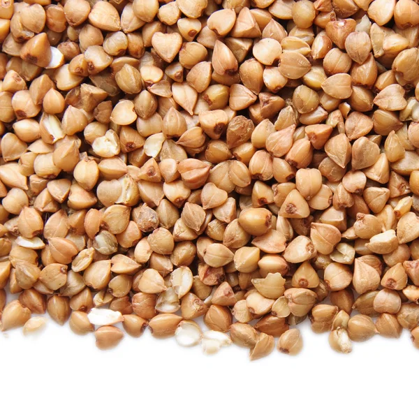 Buckwheat — Stok Foto
