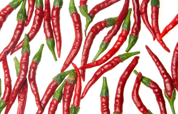 Rote Paprika — Stockfoto