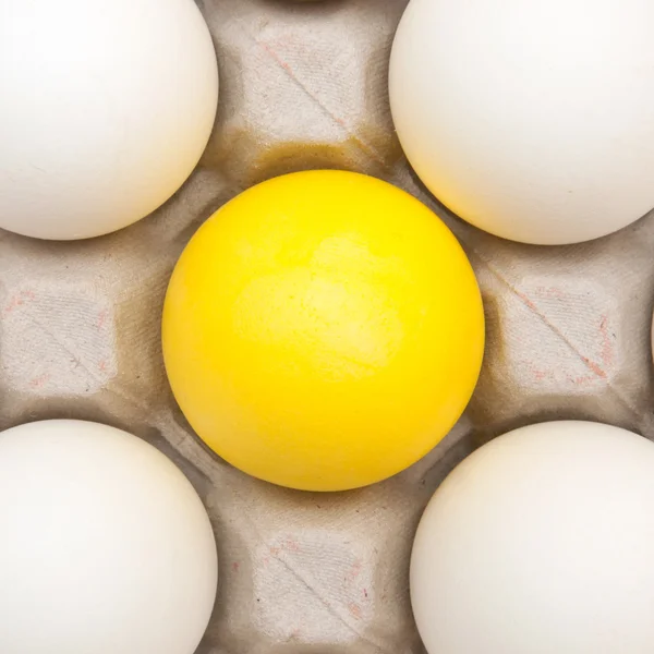 stock image Eggs