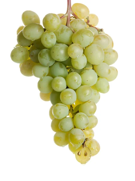 stock image Green grapes