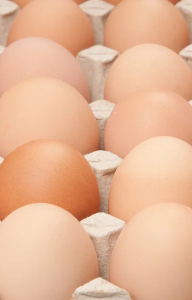 Stock image Eggs