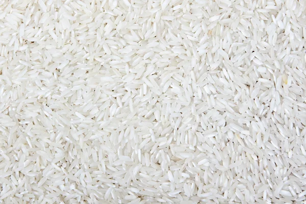 Rýže — Stock fotografie