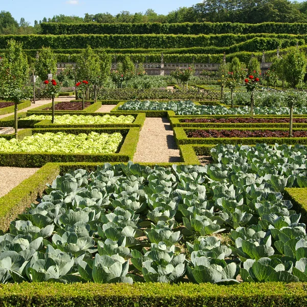 Villandry — Stok fotoğraf