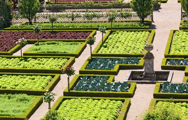 Villandry — Fotografia de Stock