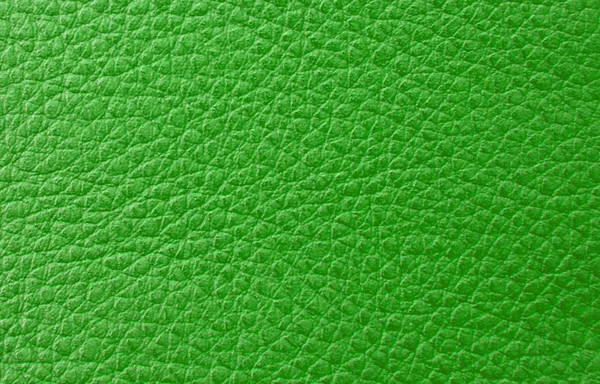Light Green Faux Leather Texture Close-Up Stock Photo, Picture and Royalty  Free Image. Image 17357226.