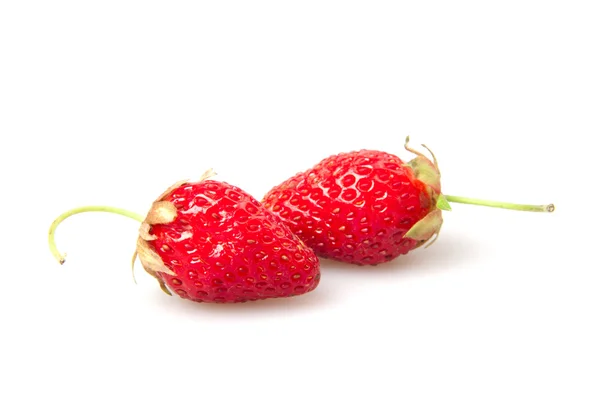 Fragola — Foto Stock