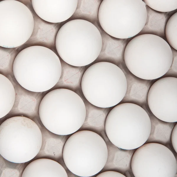 stock image Eggs