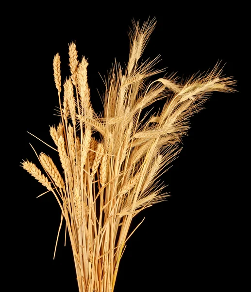 Хлеб из пшеницы и ржи — стоковое фото