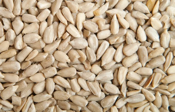 Семена — стоковое фото