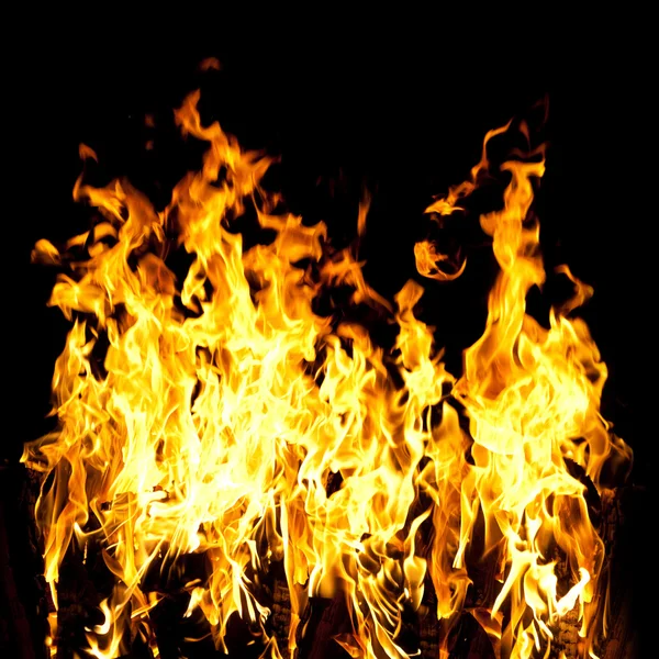 Flames of a fire in the dark — Stock Photo © Irochka #1459546