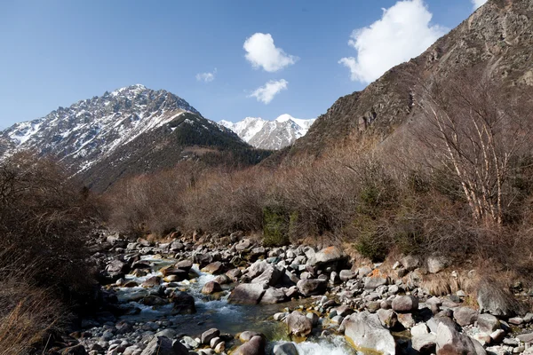 Górskie rzeki. Kirgistan. Ala archa. — Zdjęcie stockowe
