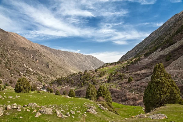 Górski krajobraz. Ala-archa, Kirgistan — Zdjęcie stockowe