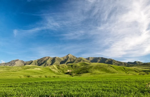 Landcscape hight mountains. Landscape in the fields. — Stock Photo, Image