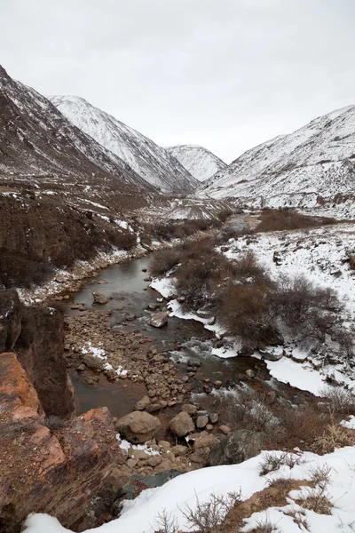 在吉尔吉斯斯坦 (亚洲) 繁荣峡谷景观。多云的景观 — 图库照片