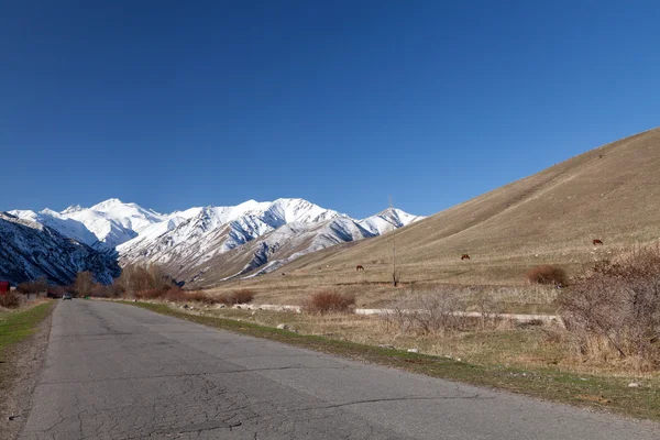 山，道路的景观 — 图库照片