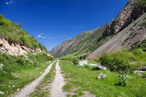 Górski krajobraz. issik-ata wąwóz, Kirgistan — Zdjęcie stockowe
