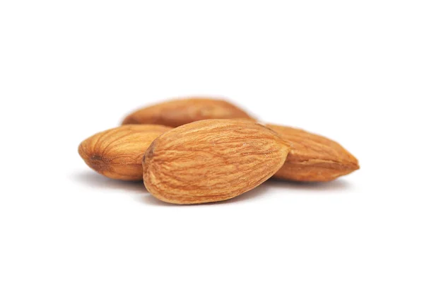 stock image Nuts against white background