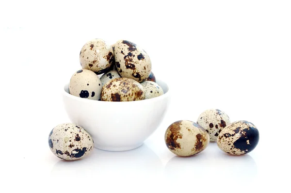 Huevos de codorniz. Fotos aisladas sobre fondo blanco — Foto de Stock