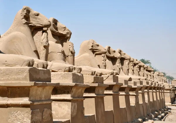 Architecture de l'Egypte — Photo gratuite