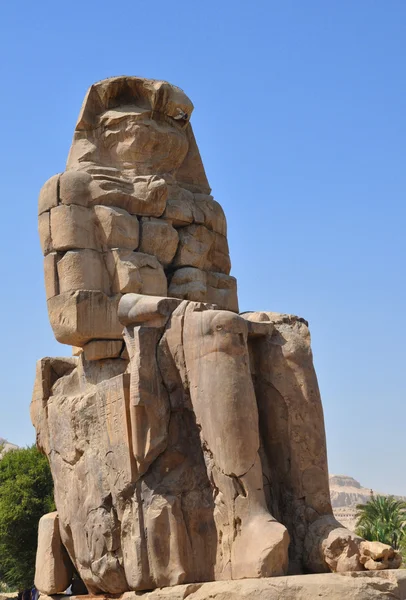 Phafaons på väggen i templet ramzes ii, Egypten — Stockfoto