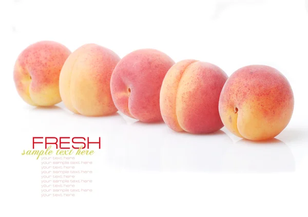 Frische, saftige Aprikosen frisch geerntet — Stockfoto