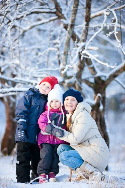 Семья на открытом воздухе зимой — стоковое фото