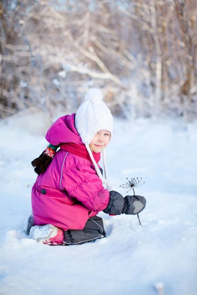 户外活动在冬日的小女孩 — 图库照片
