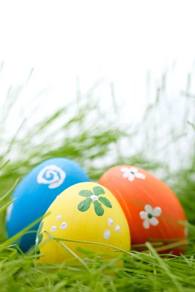 Huevos de Pascua escondidos en una hierba — Foto de Stock