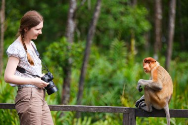 Female photographer and proboscis monkey clipart