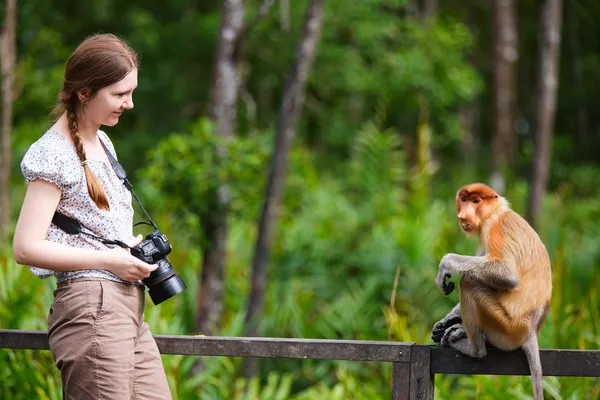 Γυναίκα φωτογράφος και προβοσκίδα monkey — Φωτογραφία Αρχείου