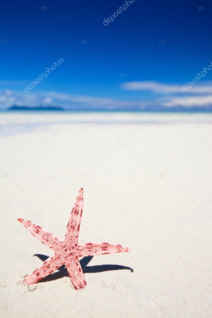 Red starfish on tropical beach