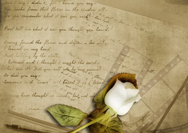 Vintage achtergrond met vervaagde rose en oude brief — Stockfoto