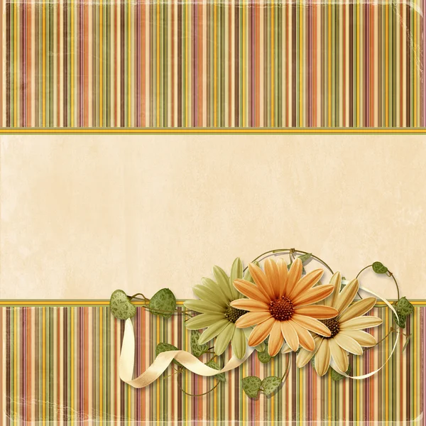 Beautiful greeting card — Stock Photo, Image