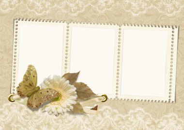 Vintage frame on lace background with butterfly and flower clipart