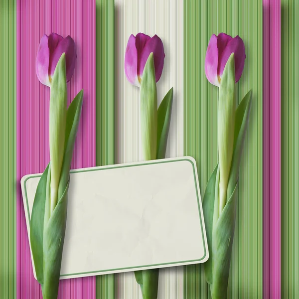 Retro-Grußkarte mit Tulpen — Stockfoto