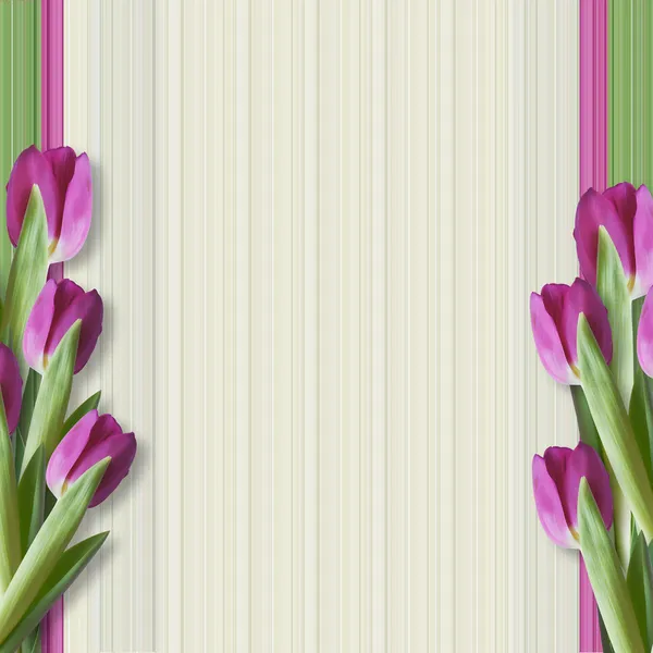 Fundo saudação com tulipas — Fotografia de Stock