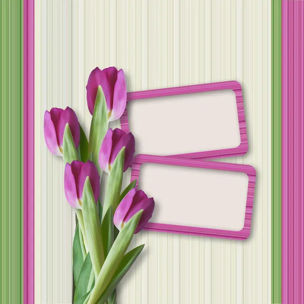 Ретро вітальна листівка з тюльпанами — стокове фото