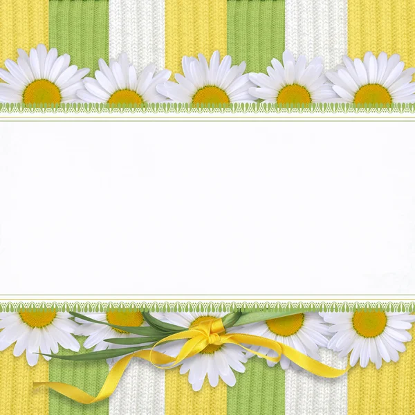 Mooie kaart met daisy — Stockfoto