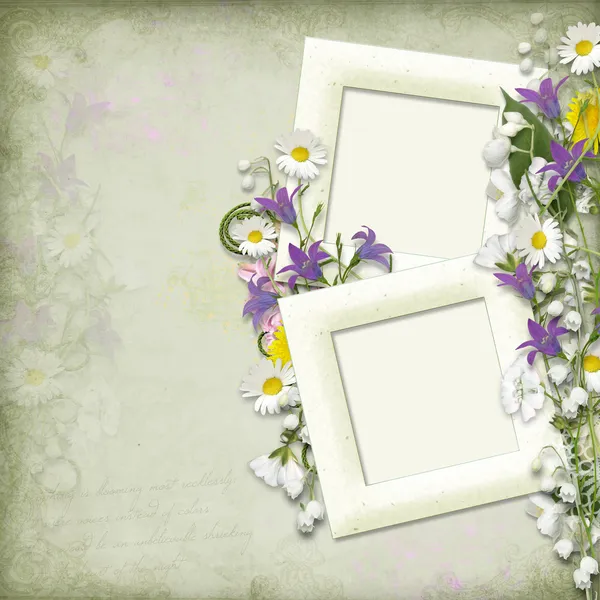 Vintage achtergrond met frame en voorjaar bloemen — Stockfoto