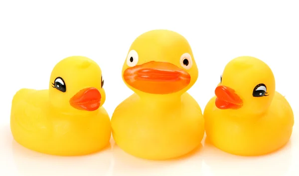 Rubber ducks — Stock Photo, Image