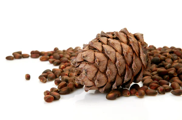 Cedrové ořechy — Stock fotografie
