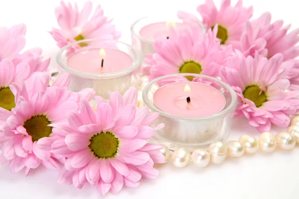 Pink flowers and pearls — Stock Photo, Image
