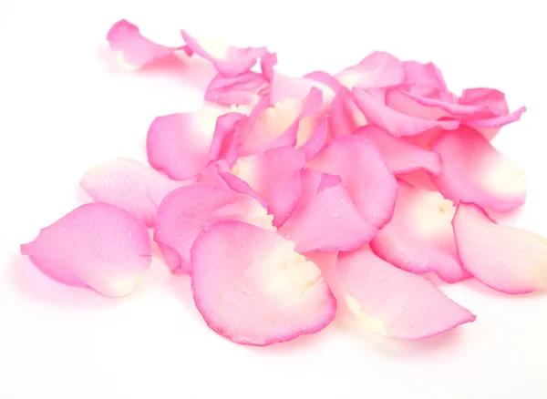 Pétalas de rosas — Fotografia de Stock