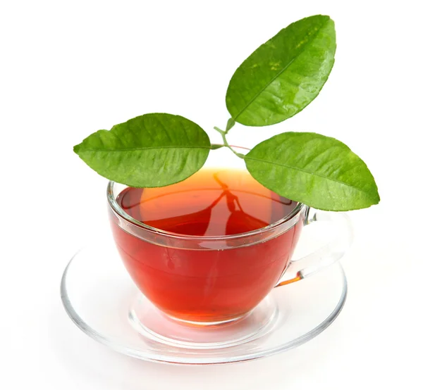 Τσάι σε μια κούπα και ένα πράσινο φύλλο Εικόνα Αρχείου