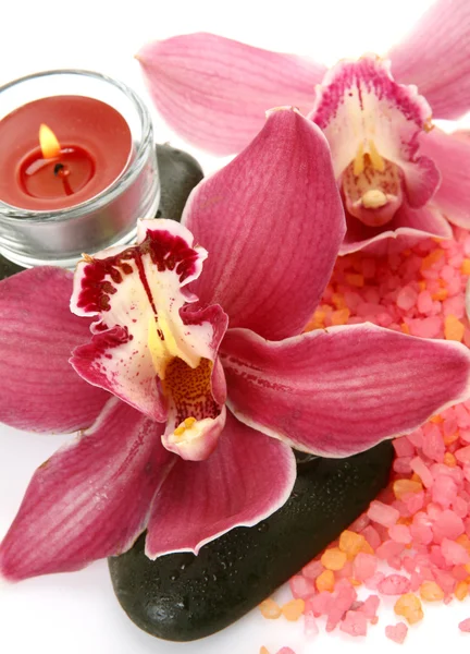 Orquídeas rosadas y vela —  Fotos de Stock