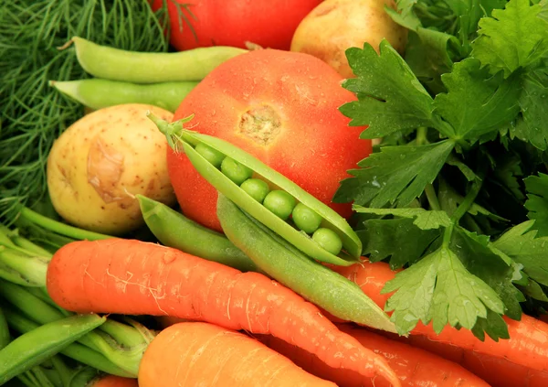 Färska grönsaker för ett hälsosamt foder — Stockfoto